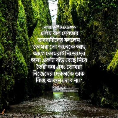 Picture 04 - 1 ৰাজাৱলী 18:25 BENIRV - এলিয় বাল দেবতার - Bible Verse Picture