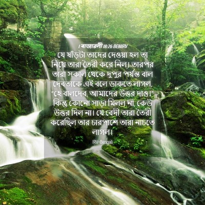 Picture 04 - 1 ৰাজাৱলী 18:26 BENIRV - যে ষাঁড়টা তাদের - Bible Verse Picture