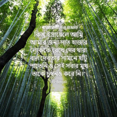 Picture 04 - 1 ৰাজাৱলী 19:18 BENIRV - কিন্তু ইস্রায়েলে - Bible Verse Picture