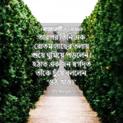 Picture 04 - 1 ৰাজাৱলী 19:5 BENIRV - তারপর তিনি এক রোতম - Bible Verse Picture