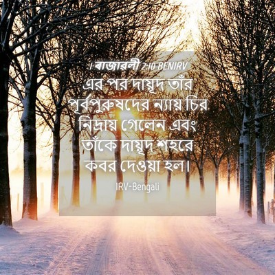 Picture 04 - 1 ৰাজাৱলী 2:10 BENIRV - এর পর দায়ূদ তাঁর - Bible Verse Picture