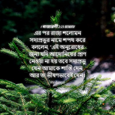 Picture 04 - 1 ৰাজাৱলী 2:23 BENIRV - এর পর রাজা শলোমন - Bible Verse Picture