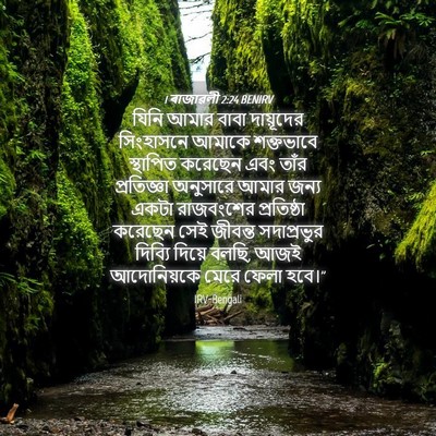 Picture 04 - 1 ৰাজাৱলী 2:24 BENIRV - যিনি আমার বাবা - Bible Verse Picture