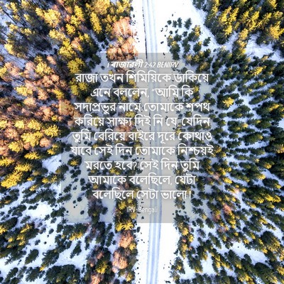 Picture 04 - 1 ৰাজাৱলী 2:42 BENIRV - রাজা তখন - Bible Verse Picture
