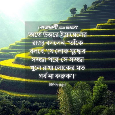 Picture 04 - 1 ৰাজাৱলী 20:11 BENIRV - তাতে উত্তরে - Bible Verse Picture