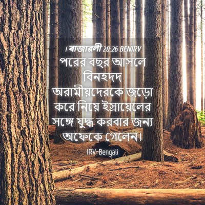 Picture 04 - 1 ৰাজাৱলী 20:26 BENIRV - পরের বছর আসলে - Bible Verse Picture