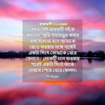Picture 04 - 1 ৰাজাৱলী 20:36 BENIRV - তখন সেই ভাববাদী - Bible Verse Picture