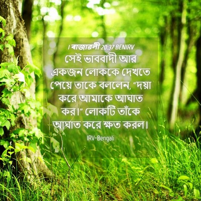 Picture 04 - 1 ৰাজাৱলী 20:37 BENIRV - সেই ভাববাদী আর - Bible Verse Picture