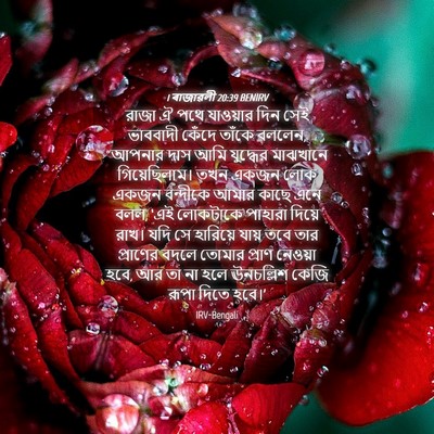 Picture 04 - 1 ৰাজাৱলী 20:39 BENIRV - রাজা ঐ পথে যাওয়ার - Bible Verse Picture