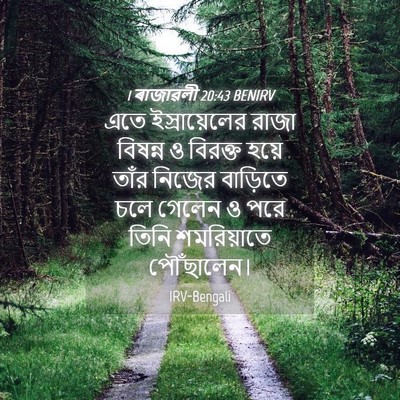 Picture 04 - 1 ৰাজাৱলী 20:43 BENIRV - এতে ইস্রায়েলের - Bible Verse Picture