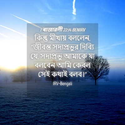 Picture 04 - 1 ৰাজাৱলী 22:14 BENIRV - কিন্তু মীখায় - Bible Verse Picture