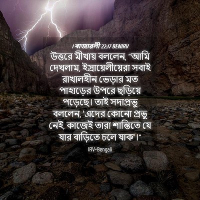 Picture 04 - 1 ৰাজাৱলী 22:17 BENIRV - উত্তরে মীখায় - Bible Verse Picture