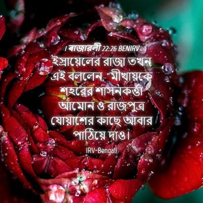 Picture 04 - 1 ৰাজাৱলী 22:26 BENIRV - ইস্রায়েলের রাজা - Bible Verse Picture