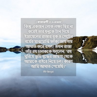 Picture 04 - 1 ৰাজাৱলী 22:34 BENIRV - কিন্তু একজন লোক - Bible Verse Picture