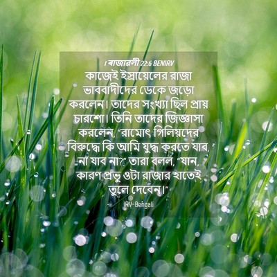 Picture 04 - 1 ৰাজাৱলী 22:6 BENIRV - কাজেই ইস্রায়েলের - Bible Verse Picture