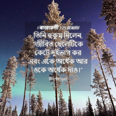 Picture 04 - 1 ৰাজাৱলী 3:25 BENIRV - তিনি হুকুম দিলেন, - Bible Verse Picture