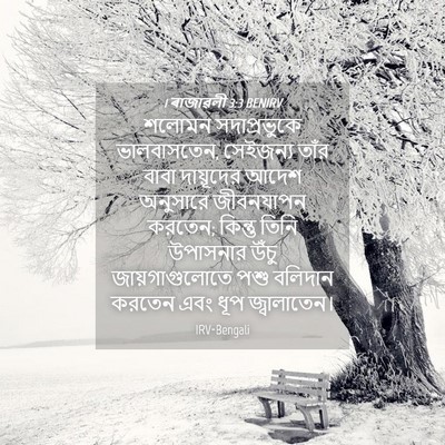 Picture 04 - 1 ৰাজাৱলী 3:3 BENIRV - শলোমন সদাপ্রভুকে - Bible Verse Picture