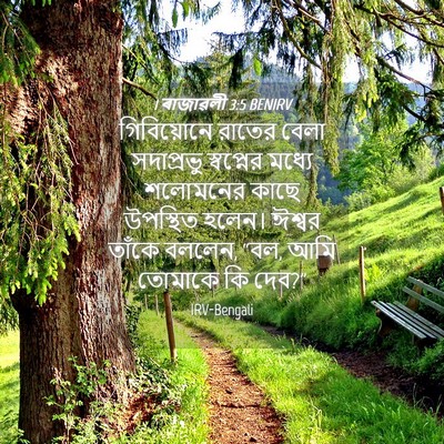 Picture 04 - 1 ৰাজাৱলী 3:5 BENIRV - গিবিয়োনে রাতের - Bible Verse Picture