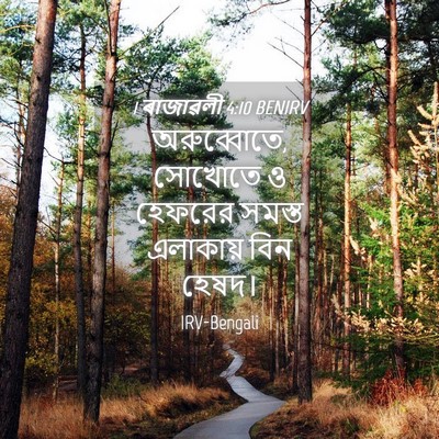 Picture 04 - 1 ৰাজাৱলী 4:10 BENIRV - অরুব্বোতে, সোখোতে - Bible Verse Picture