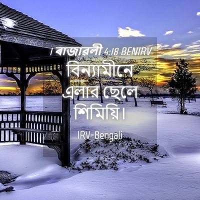 Picture 04 - 1 ৰাজাৱলী 4:18 BENIRV - বিন্যামীনে এলার - Bible Verse Picture