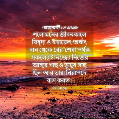Picture 04 - 1 ৰাজাৱলী 4:25 BENIRV - শলোমনের জীবনকালে - Bible Verse Picture