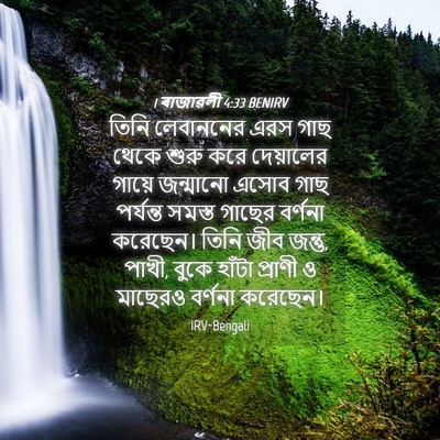 Picture 04 - 1 ৰাজাৱলী 4:33 BENIRV - তিনি লেবাননের এরস - Bible Verse Picture