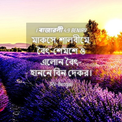 Picture 04 - 1 ৰাজাৱলী 4:9 BENIRV - মাকসে, শালবীমে, - Bible Verse Picture