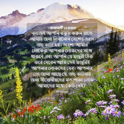 Picture 04 - 1 ৰাজাৱলী 5:6 BENIRV - কাজেই আপনি হুকুম - Bible Verse Picture