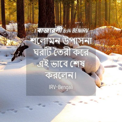 Picture 04 - 1 ৰাজাৱলী 6:14 BENIRV - শলোমন উপাসনা ঘরটি - Bible Verse Picture