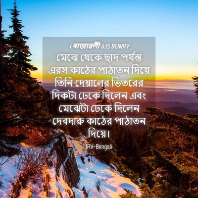 Picture 04 - 1 ৰাজাৱলী 6:15 BENIRV - মেঝে থেকে ছাদ - Bible Verse Picture