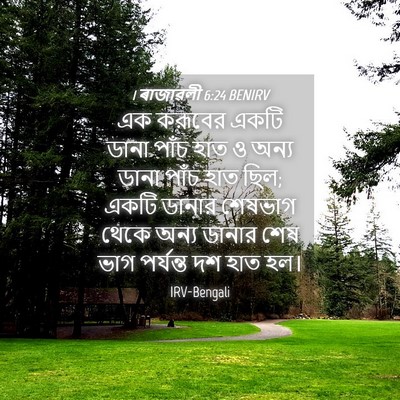 Picture 04 - 1 ৰাজাৱলী 6:24 BENIRV - এক করূবের একটি - Bible Verse Picture