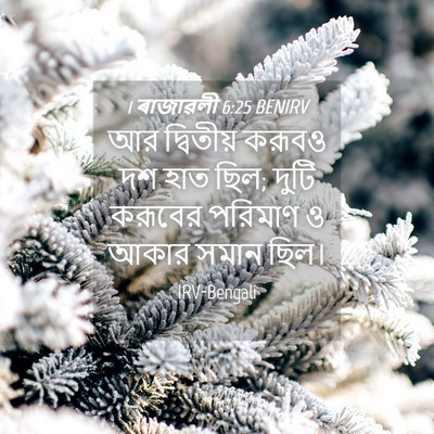 Picture 04 - 1 ৰাজাৱলী 6:25 BENIRV - আর দ্বিতীয় করূবও - Bible Verse Picture