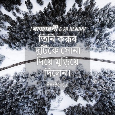 Picture 04 - 1 ৰাজাৱলী 6:28 BENIRV - তিনি করূব দুটিকে - Bible Verse Picture