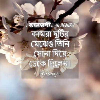 Picture 04 - 1 ৰাজাৱলী 6:30 BENIRV - কামরা দুটির মেঝেও - Bible Verse Picture
