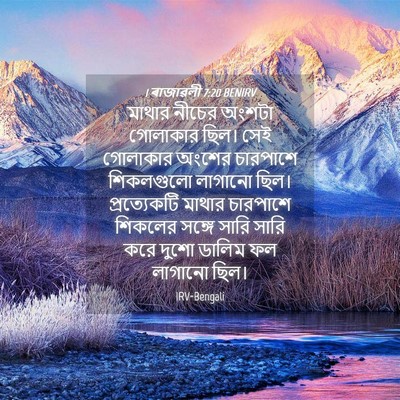 Picture 04 - 1 ৰাজাৱলী 7:20 BENIRV - মাথার নীচের অংশটা - Bible Verse Picture