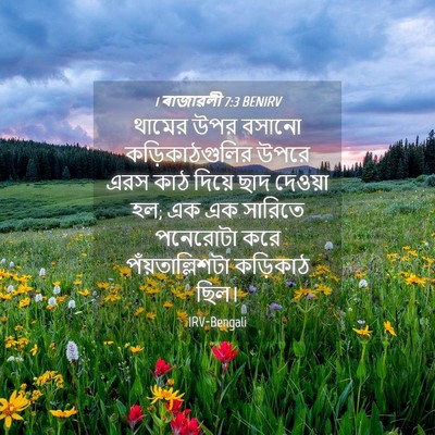 Picture 04 - 1 ৰাজাৱলী 7:3 BENIRV - থামের উপর বসানো - Bible Verse Picture