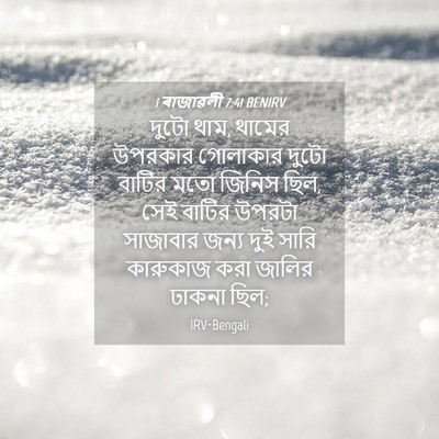 Picture 04 - 1 ৰাজাৱলী 7:41 BENIRV - দুটো থাম, থামের - Bible Verse Picture