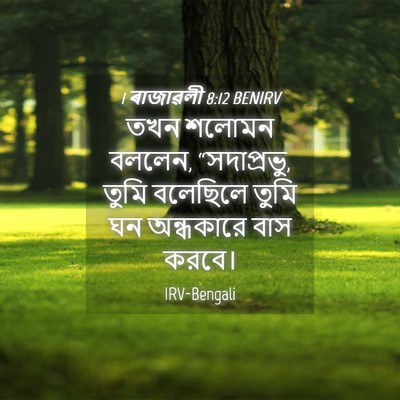 Picture 04 - 1 ৰাজাৱলী 8:12 BENIRV - তখন শলোমন বললেন, - Bible Verse Picture