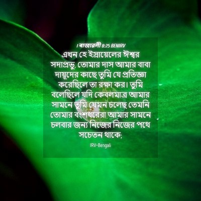 Picture 04 - 1 ৰাজাৱলী 8:25 BENIRV - এখন হে - Bible Verse Picture