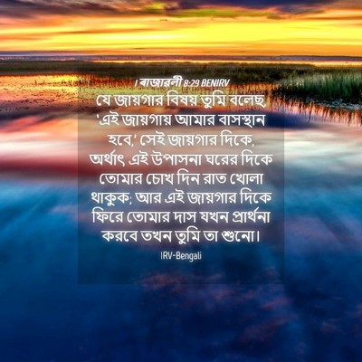 Picture 04 - 1 ৰাজাৱলী 8:29 BENIRV - যে জায়গার বিষয় - Bible Verse Picture