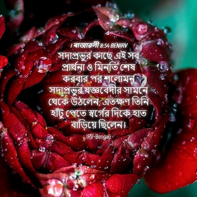 Picture 04 - 1 ৰাজাৱলী 8:54 BENIRV - সদাপ্রভুর কাছে এই - Bible Verse Picture