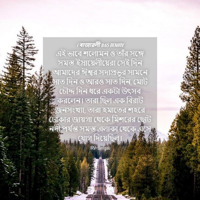 Picture 04 - 1 ৰাজাৱলী 8:65 BENIRV - এই ভাবে শলোমন ও - Bible Verse Picture