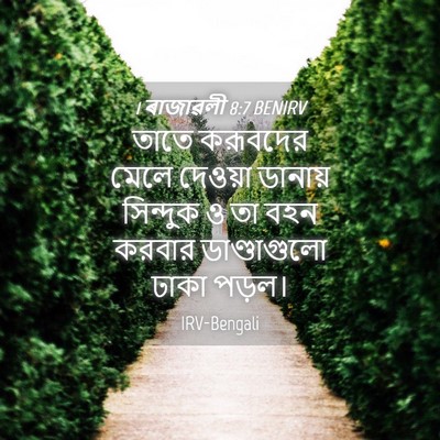Picture 04 - 1 ৰাজাৱলী 8:7 BENIRV - তাতে করূবদের মেলে - Bible Verse Picture