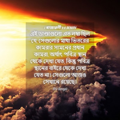 Picture 04 - 1 ৰাজাৱলী 8:8 BENIRV - এই ডাণ্ডাগুলো এত - Bible Verse Picture