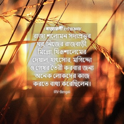 Picture 04 - 1 ৰাজাৱলী 9:15 BENIRV - রাজা শলোমন - Bible Verse Picture