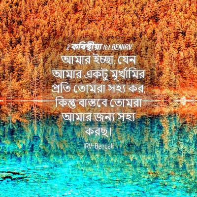 Picture 04 - 2 কৰিন্থীয়া 11:1 BENIRV - আমার ইচ্ছা, যেন - Bible Verse Picture