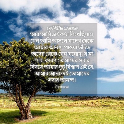 Picture 04 - 2 কৰিন্থীয়া 2:3 BENIRV - আর আমি এই কথা - Bible Verse Picture