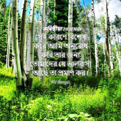 Picture 04 - 2 কৰিন্থীয়া 2:8 BENIRV - সেই কারণে বিশেষ - Bible Verse Picture