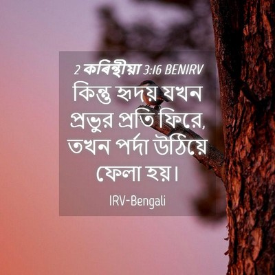 Picture 04 - 2 কৰিন্থীয়া 3:16 BENIRV - কিন্তু হৃদয় যখন - Bible Verse Picture