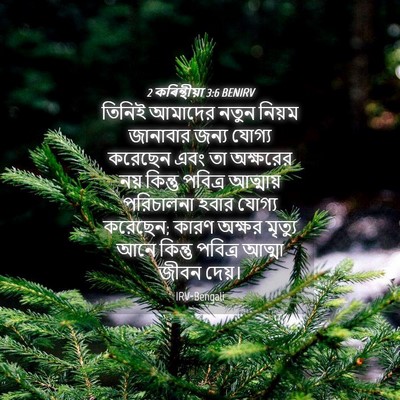 Picture 04 - 2 কৰিন্থীয়া 3:6 BENIRV - তিনিই আমাদের নতুন - Bible Verse Picture